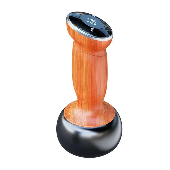 NOUVEAU Masseur Électrique en Pierre de Bian, Outil de Moxibustion et de Guasha, Thérapie SPA, Appar