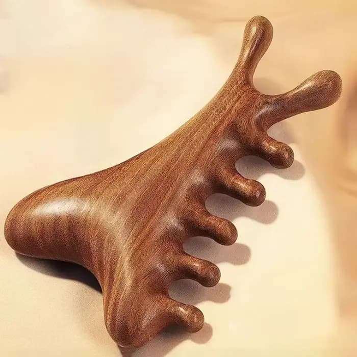 Masseur corporel et crâne, outil de massage pour le cou et le visage, soin de santé, peigne en bois 