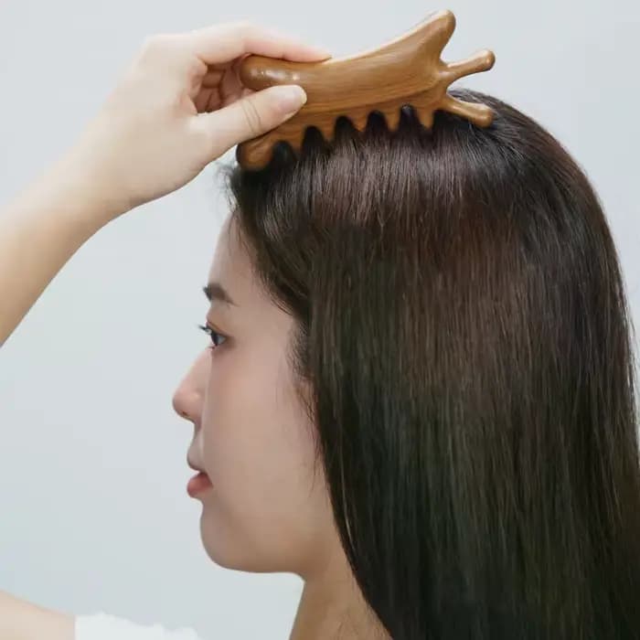 Peigne de Massage de tête en bois de santal