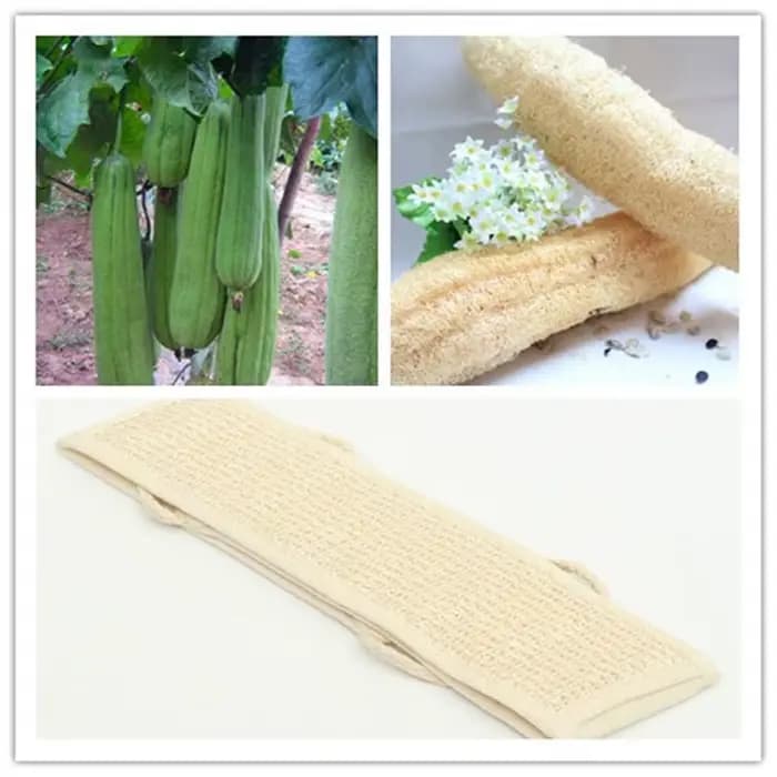 Loofah exfoliant doux naturel
