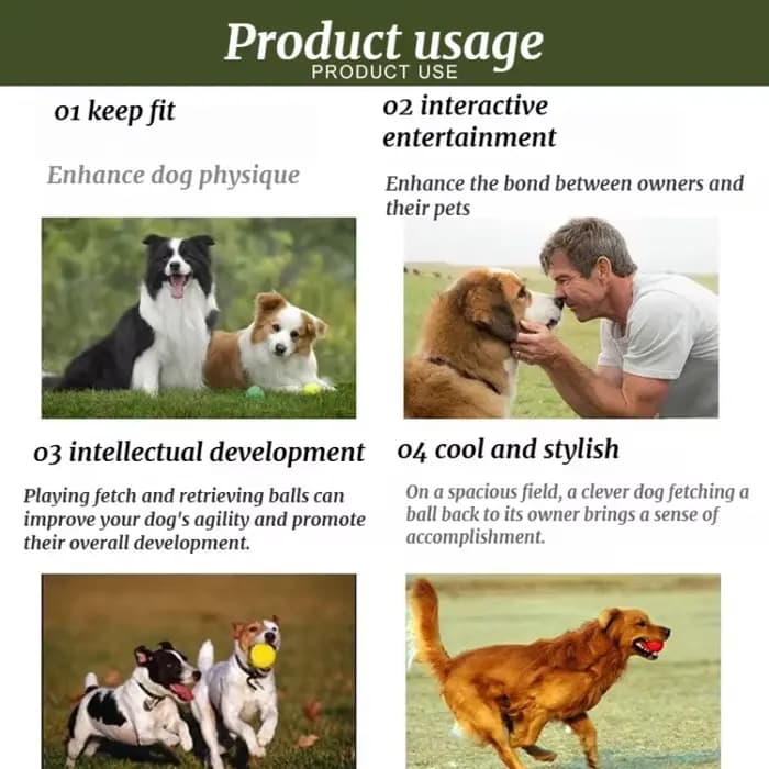 Lanceur de balles interactif pour chien, jouet d'extérieur pour l'entraînement et le jeu, lanceur de balles de tennis pour animaux de compagnie