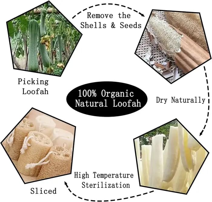 Éponges de Loofah naturelles