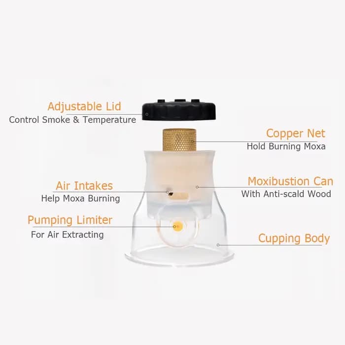 Moxibustion – boîte de ventouses sous vide