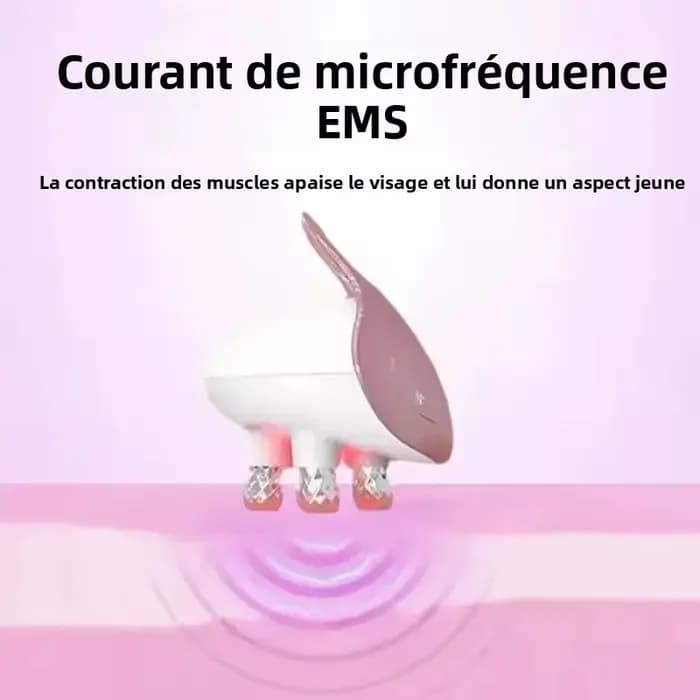 Masseur facial EMS 5 en 1