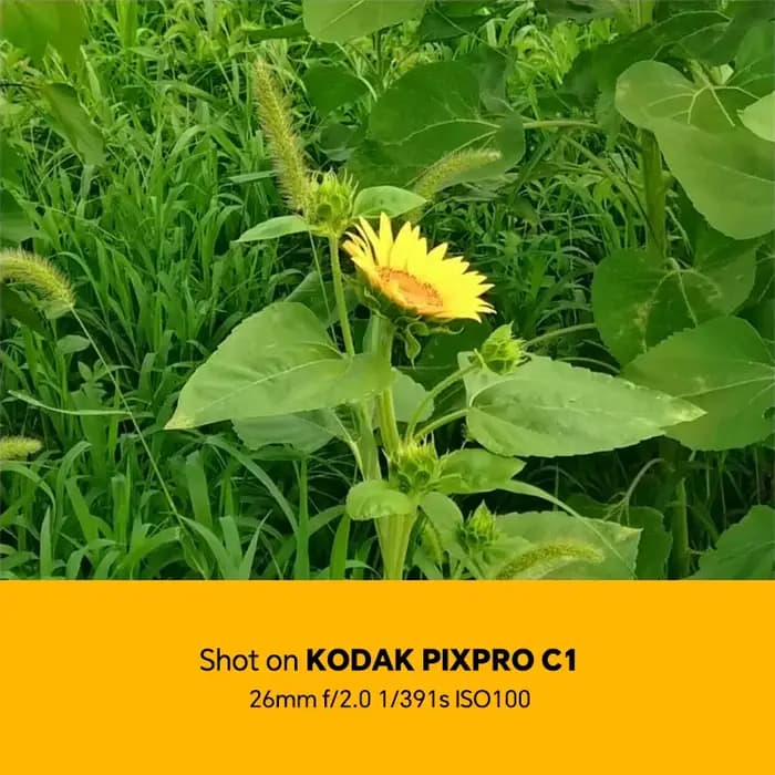 Appareil photo numérique KODAK PIXPRO C1 100% original, 13MP, vidéo 1080P, 180° °   Caméra de poche compacte rétro pour vlogging avec écran rabattable