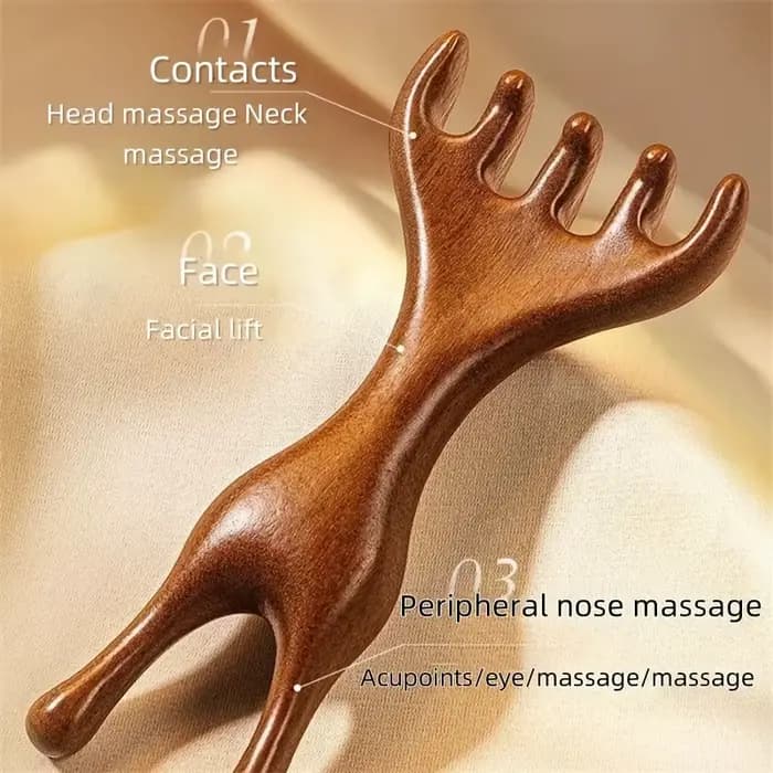 2 peignes de massage en forme de cornes de cerf : outil