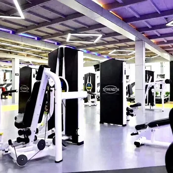 Machine d'extension des jambes assise