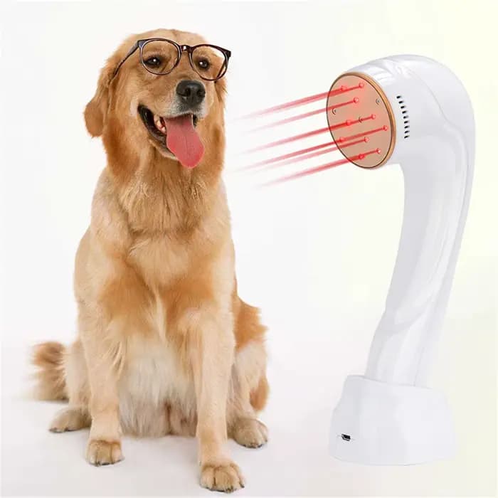 Appareil de photothérapie au laser médical