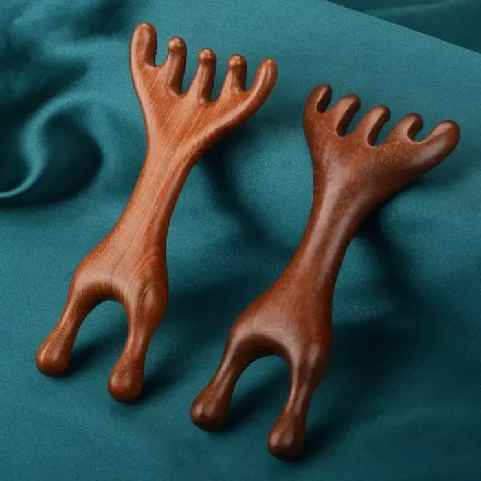 Peigne de Massage méridien corporel à Double tête