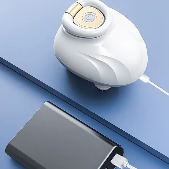 Instrument électrique de Massage de la tête