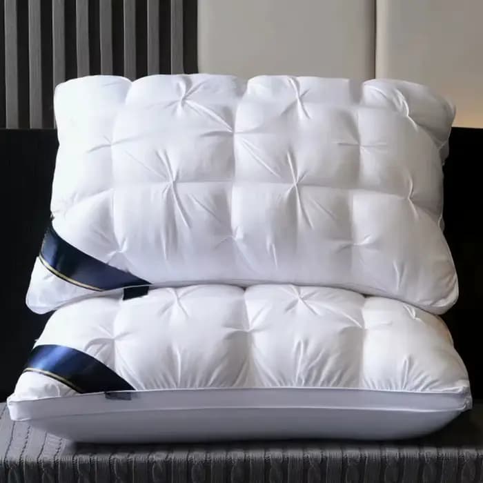 Oreillers Confortables pour Dormir, Oreiller d'Hôtel 5 Étoiles, Oreiller Tridimensionnel Doux Bilaté