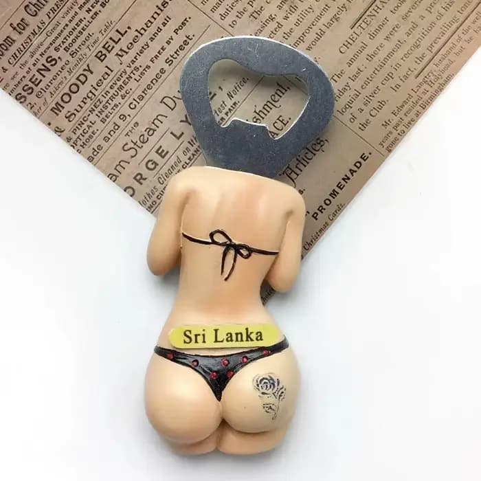 Aimant de réfrigérateur 3D en résine du Sri Lanka, souvenir touristique, autocollant de réfrigérateu