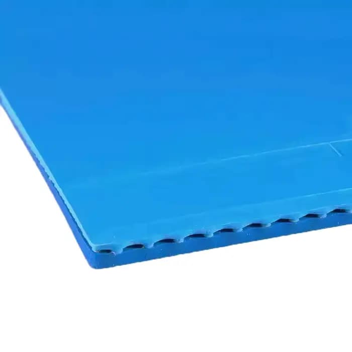 729 Battle 2 feuille de caoutchouc de Ping-Pong collante professionnelle en caoutchouc de Tennis de Table bleu province avec éponge bleue pré-affûtée 2.15mm