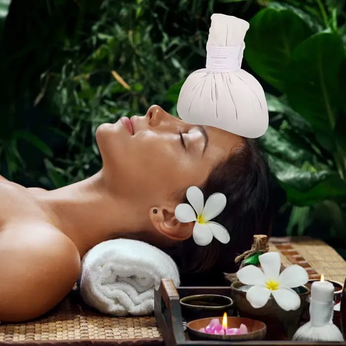 Ensemble de 2 boules à herbes chinoises chauffantes pour massage