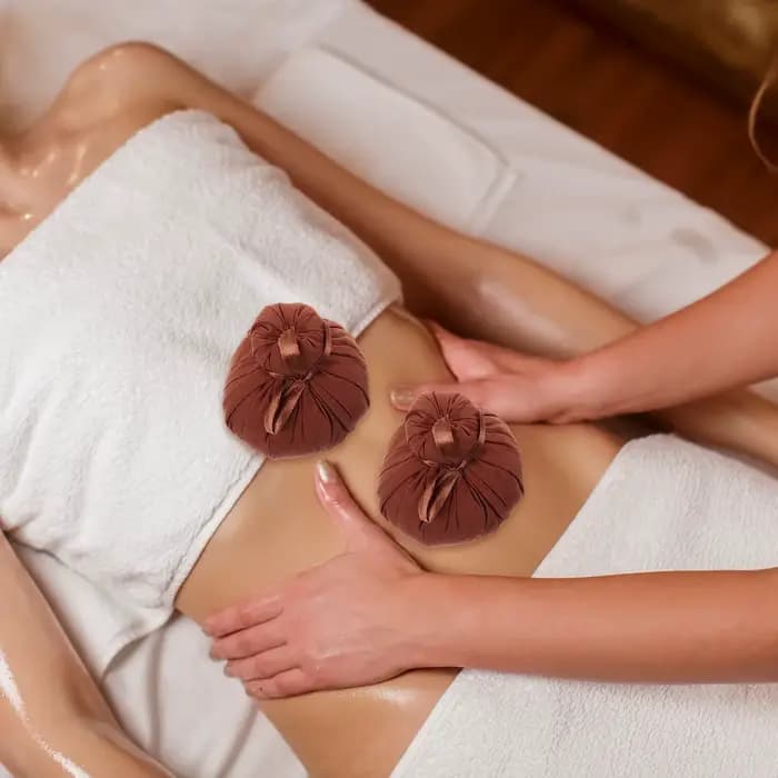 2 pièces boule chinoise Massage thaïlandais compresse à base de plantes Compression sac chauffant paquet bain Spa