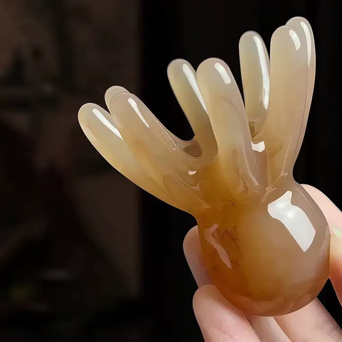 Lot de 2 peignes en résine en forme de pieuvre pour massage de la tête