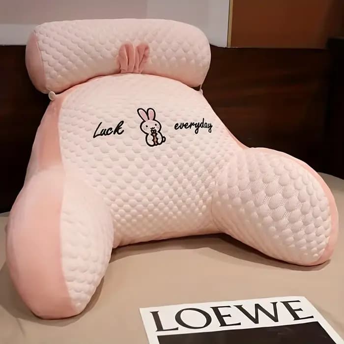1 oreiller de lecture ergonomique avec support dorsal réglable