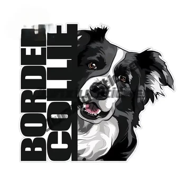 Autocollants d'art pour Border Collie, chien, propriétaire, chiot, à l'intérieur, pour pare-chocs, batterie, travail, décoration de pare-brise