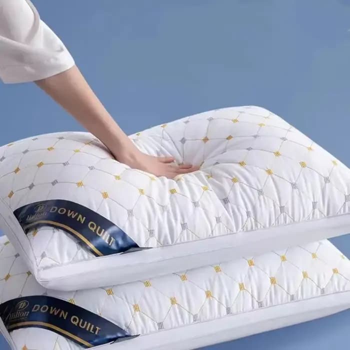 1 oreiller d'hôtel conçu spécifiquement pour la protection de la colonne cervicale et l'aide au sommeil