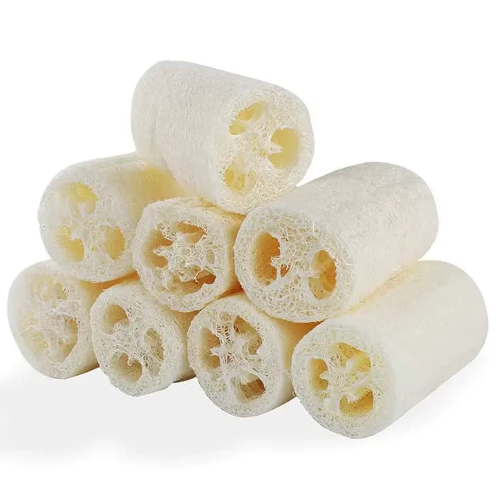 4 pièces/paquet Loofahs organiques Loofah Spa épurateur exfoliant naturel Luffa éponge de lavage du corps enlever la peau morte fait savon 4 pouces