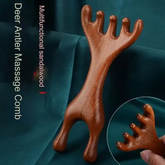 Peigne de Massage méridien corporel à Double tête