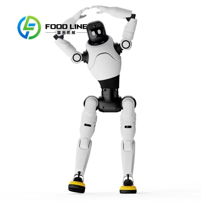 Robot humanoïde d'aéroport qui guide les passagers vers les comptoirs d'enregistrement, les zones de repos et répond à diverses questions sur les horaires de vol.
