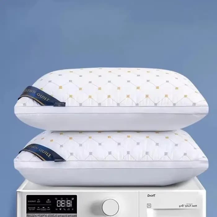 1 oreiller d'hôtel conçu spécifiquement pour la protection de la colonne cervicale et l'aide au sommeil