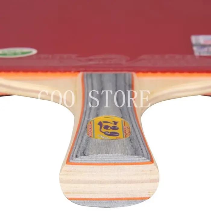 Amitié 729 raquette de Tennis de Table amitié originale 729 palette de Ping-Pong
