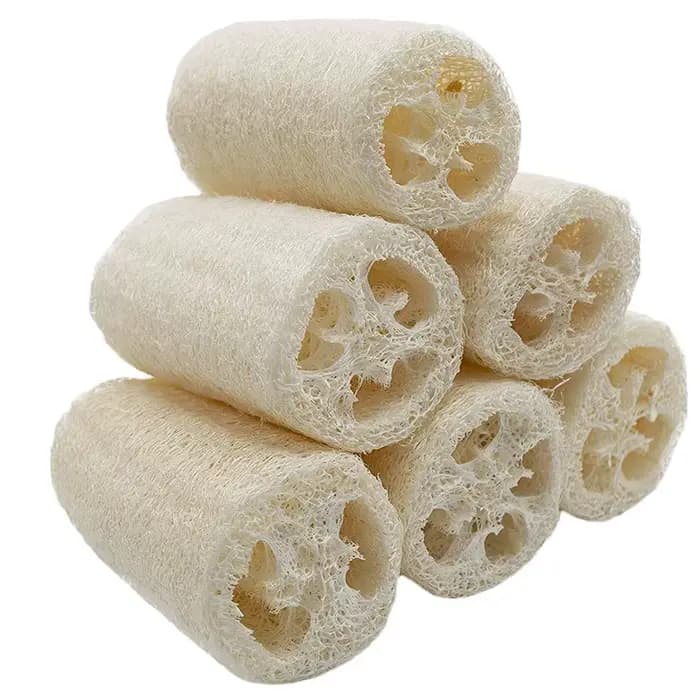 4 pièces/paquet Loofahs organiques Loofah Spa épurateur exfoliant naturel Luffa éponge de lavage du corps enlever la peau morte fait savon 4 pouces