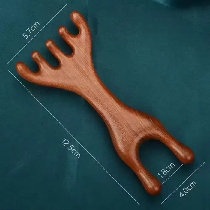 Peigne de Massage méridien corporel à Double tête